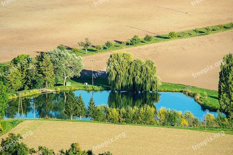 Pond Trees Mirroring Fields Landscape