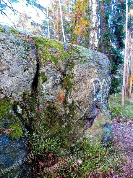 Ossified Children Enchanted Stone Nature