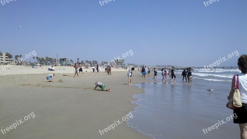 Beach California Pacific Ocean Shore