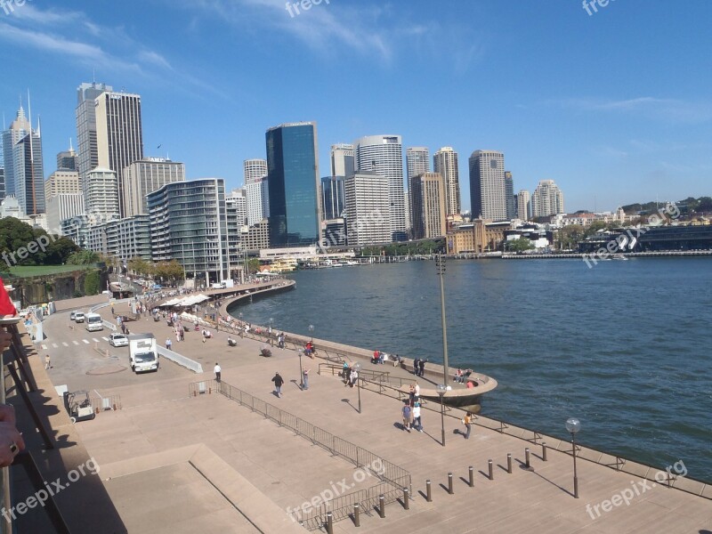 Sydney Harbour Sydnes Skyline Sydney High Rise Buildings Skyscraper Australia