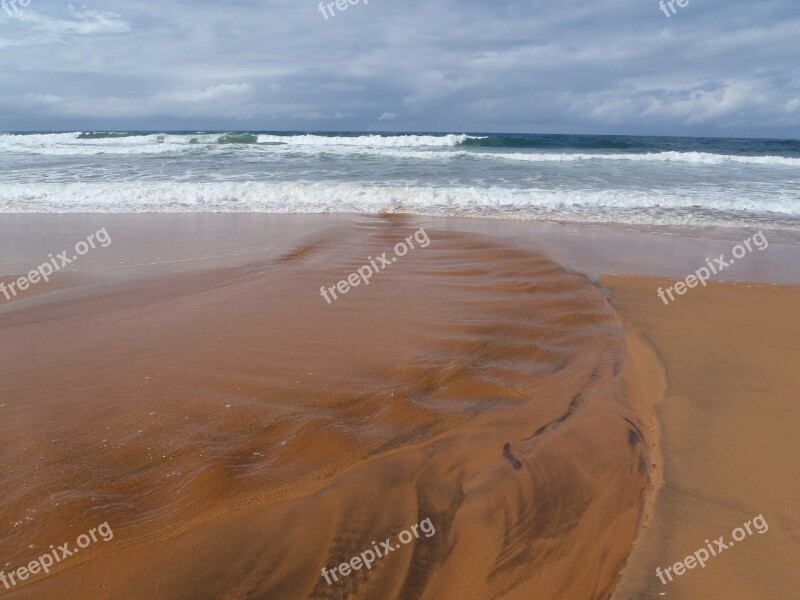 Beach Sydney Beach Australia Sea Surf