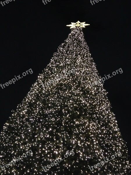 Christmas Tree Berlin Decorative Ku'damm Kurfürstendamm