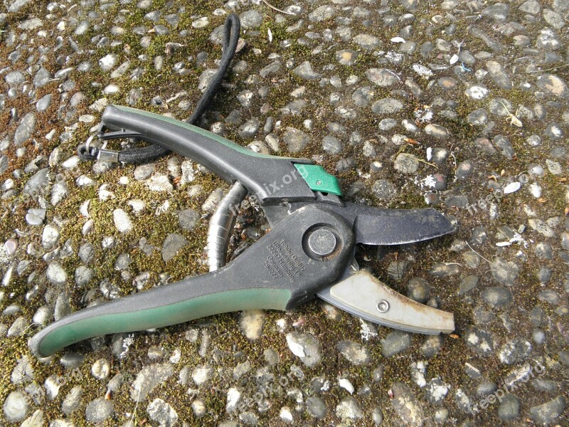 Pruner Scissors Thick Cut Off Tree