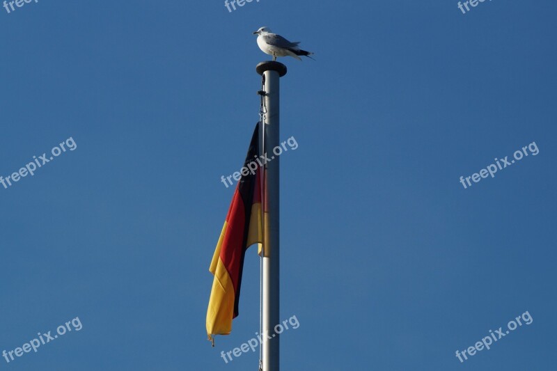 Germany Flag Wind Flutter Free Photos