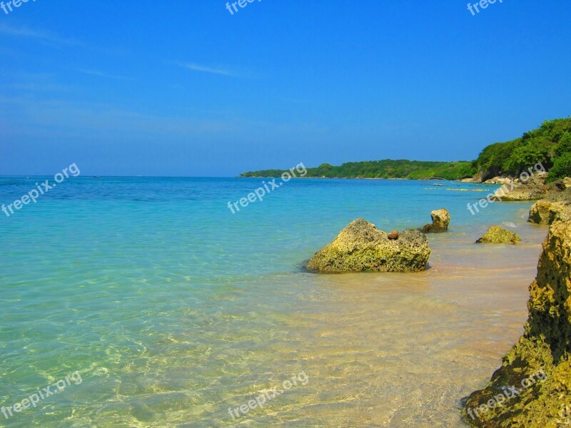 Beach Blue Reef Cartagena Free Photos