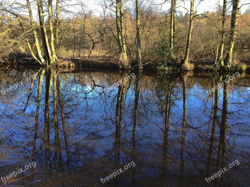 Forest Mirroring River Water Spring