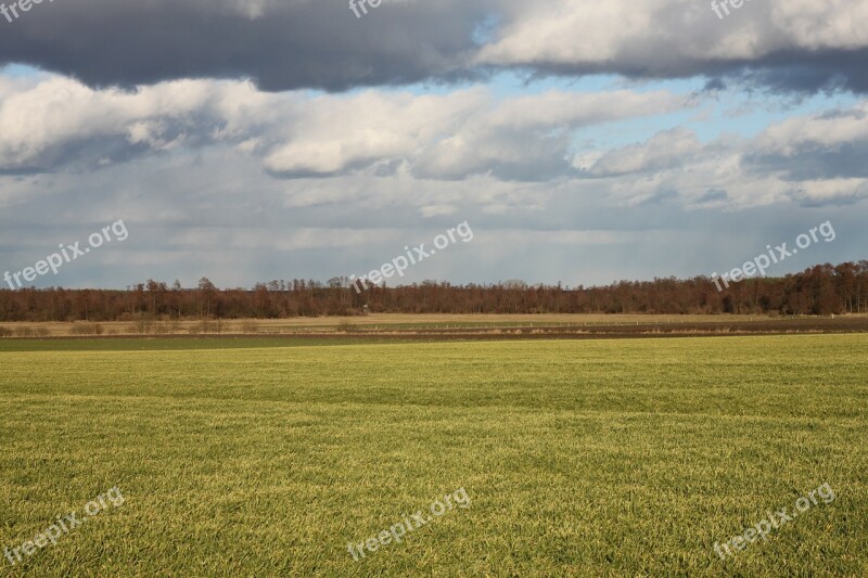 Field Farm Village Agriculture Farmer