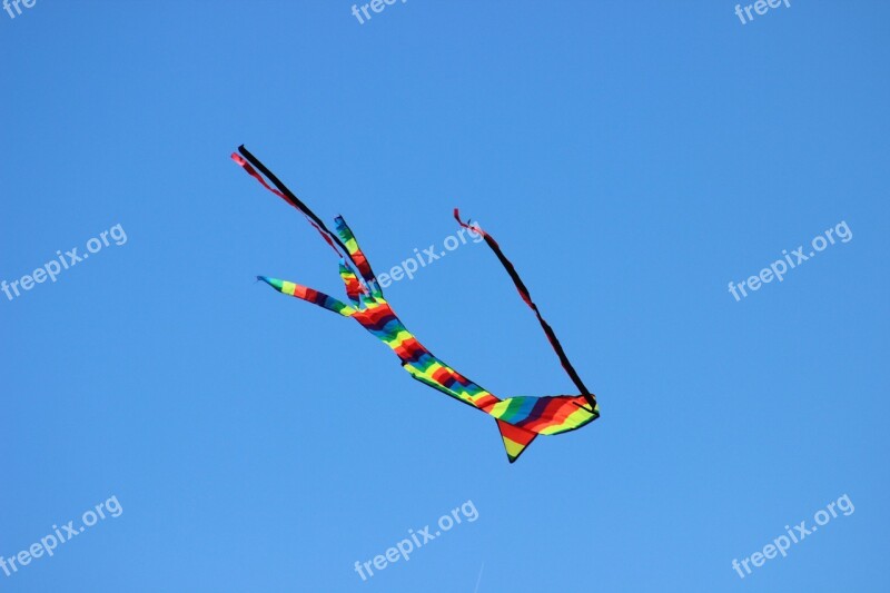 Kite Wind Colors Movement Free Photos