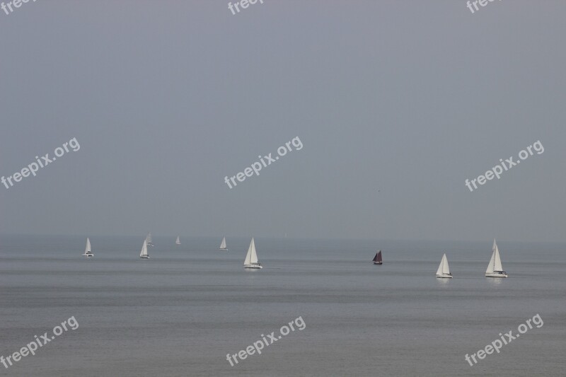 Sailboats Boats Sea Browse Free Photos