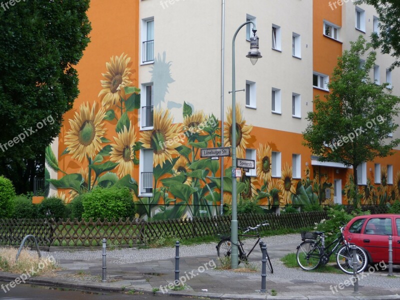 Berlin House Facade Painted House Lüneburg Street Sunflower