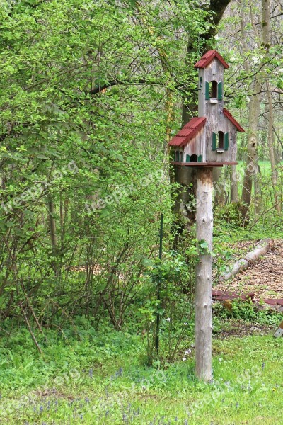 Aviary Bird Feeder Bird Nesting Place Animal Welfare