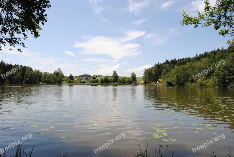 Schnaitsee Upper Bavaria Badesee Summer Water Lilies