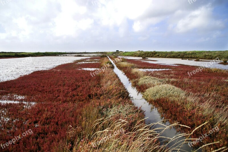 Marsh Salant Guérande Free Photos