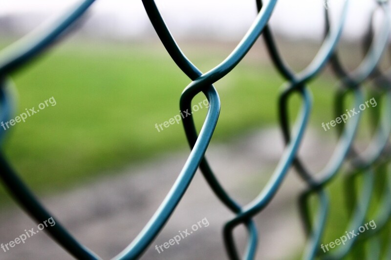 The Grid The Fence Lane Field Meadow