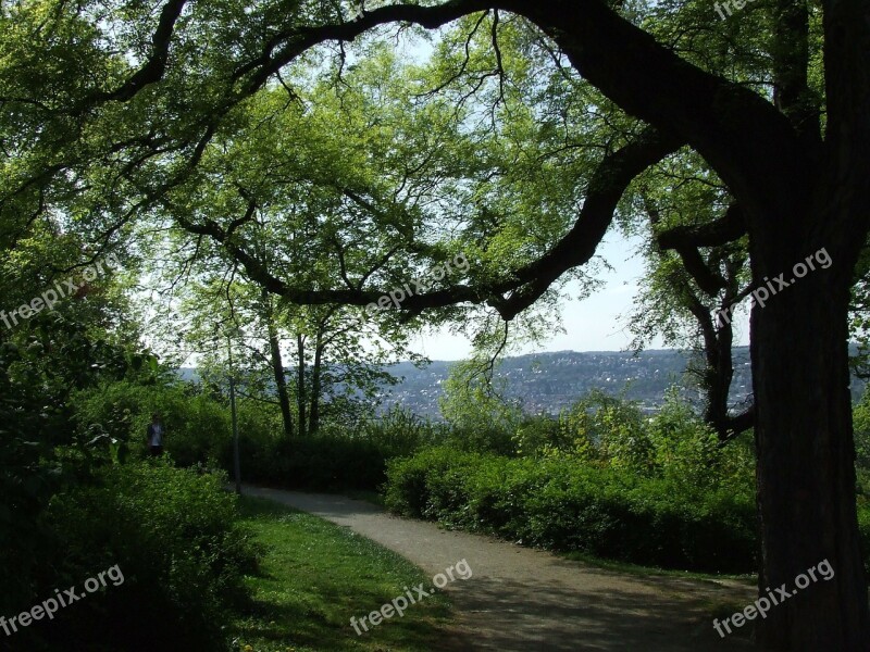 Park Stuttgart Tree Recreation Complex Viewpoint