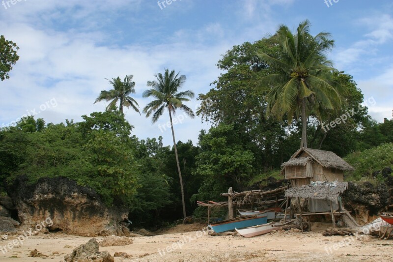 Robinson Crusoe Philippines Sand Beach Palm Trees Lonely