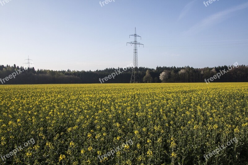 Oilseed Rape Agricultural Operation Yellow Field Harvest