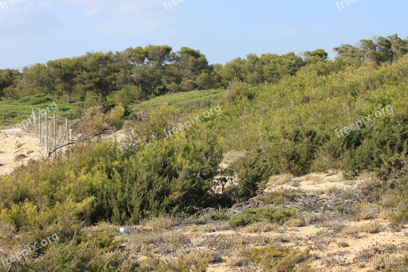 Mallorca Wilderness Coast Rock Sand