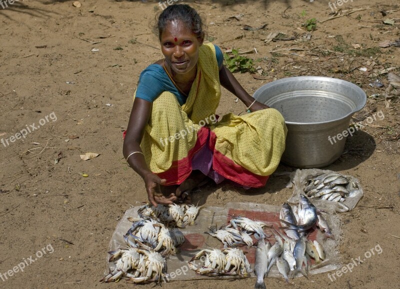 India Sell Fish Woman Nutrition