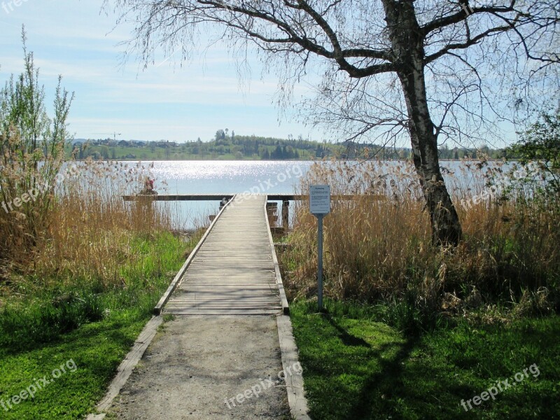 Lake Fishing Pier Relax Water Pfäffikersee