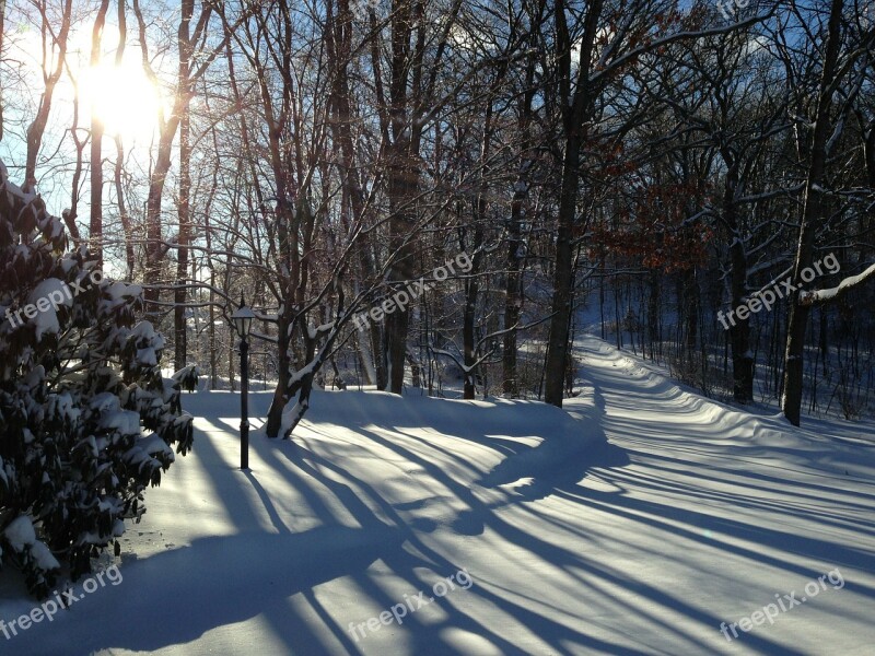 Nj Winter Shadows Snow Sunlight