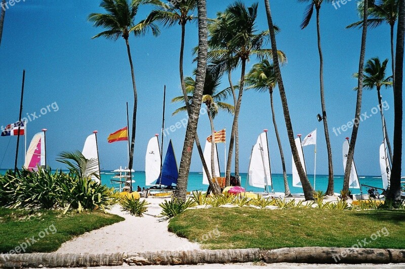 Dominican Republic Caribbean Sea Beach Palm Trees