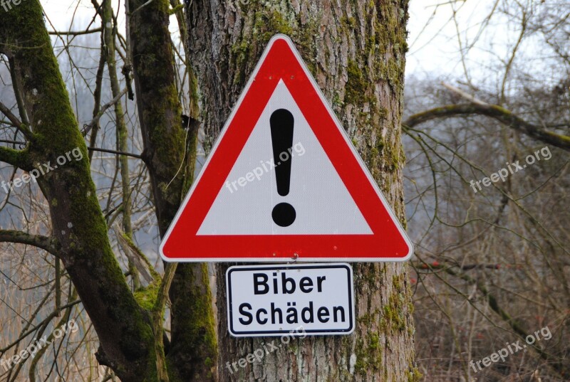 Road Sign Beaver Damage Tree In Nauen Inn