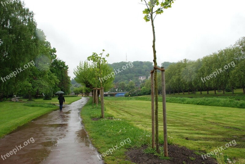 Rain Umbrella Water Wet On The Staden