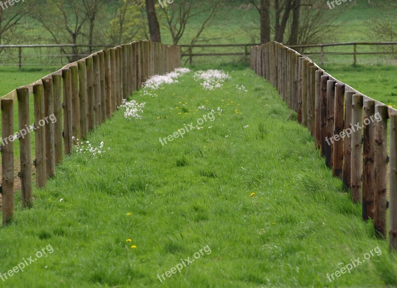 Fence Wood Fence Paddock Limit Free Photos