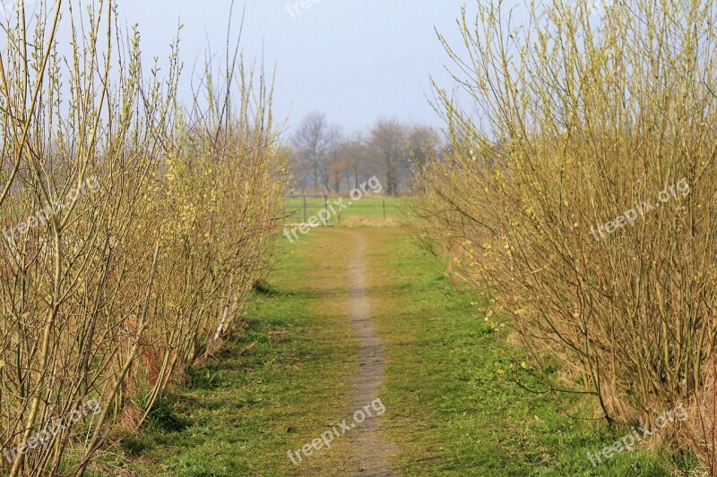 Away Grass Nature Trail Silent