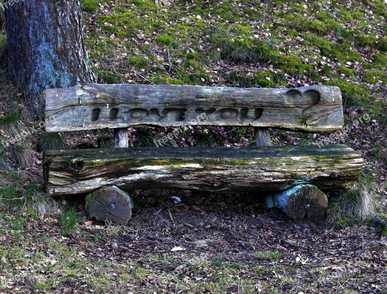 Bank Resting Place Inscription Forest Free Photos