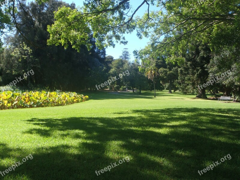 Nature Park Lichtspiel Australia Adelaide