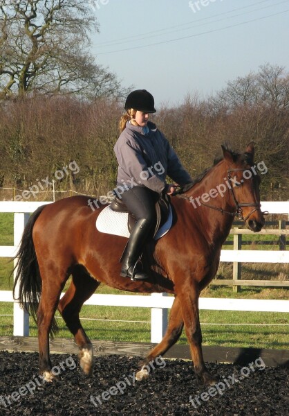 Sport Equestrian Horse Rider Show