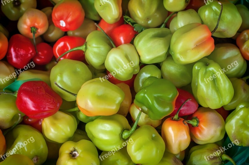 Capsicum Pepper Food Pungent Fruit Macro