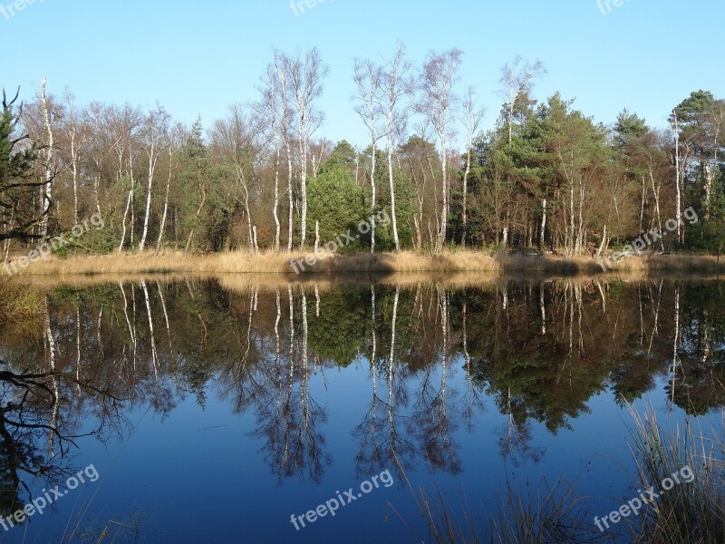 Nature Water Landscape Trees Mirror