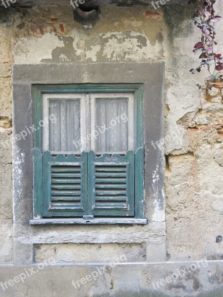 Window Green Curtain Decay Charm