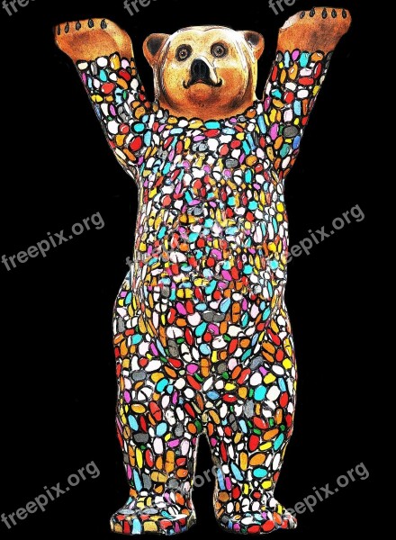 Bear Colorful Abstract Creative Color