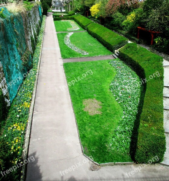 Garden Green Area City Garden Public Radolfzell Am Bodensee