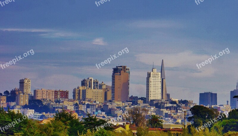 Crissy Park San Francisco California Sky Cityscape