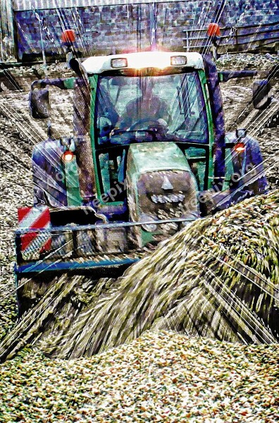 Tractor Fendt Tractors Silage Free Photos