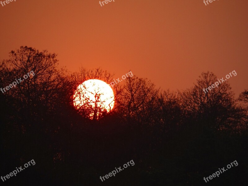 Sunset Glow Forest Tattihallia Karnataka