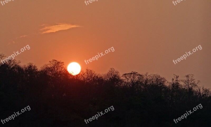 Sunset Glow Forest Tattihallia Karnataka