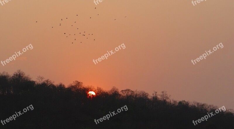 Sunset Glow Forest Tattihallia Karnataka