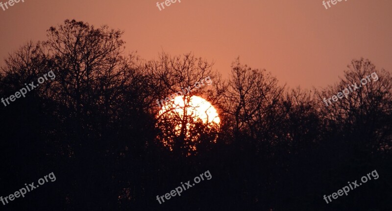 Sunset Glow Forest Tattihallia Karnataka