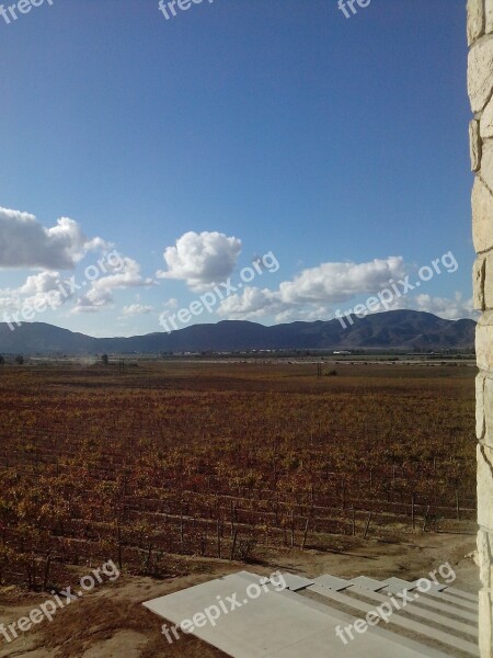 Vineyard Landscape Autumn Free Photos