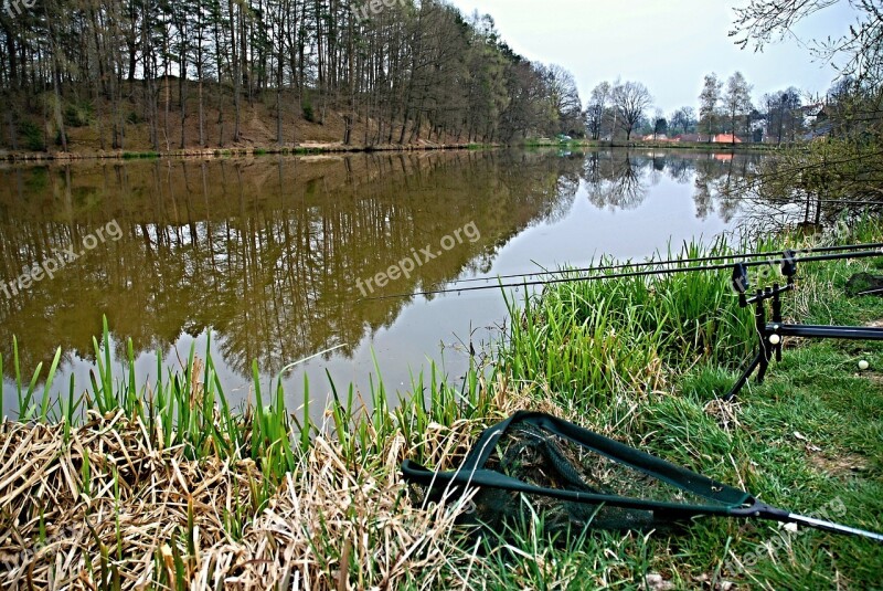 Fishing Pond Reflection Surface Edge Of The Pond