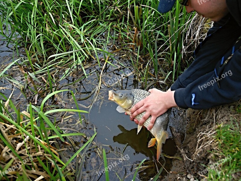 Fishing Kite Carp Fish South Bohemia