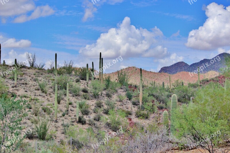 Tuscon Arizona Desert Beautiful Scenery