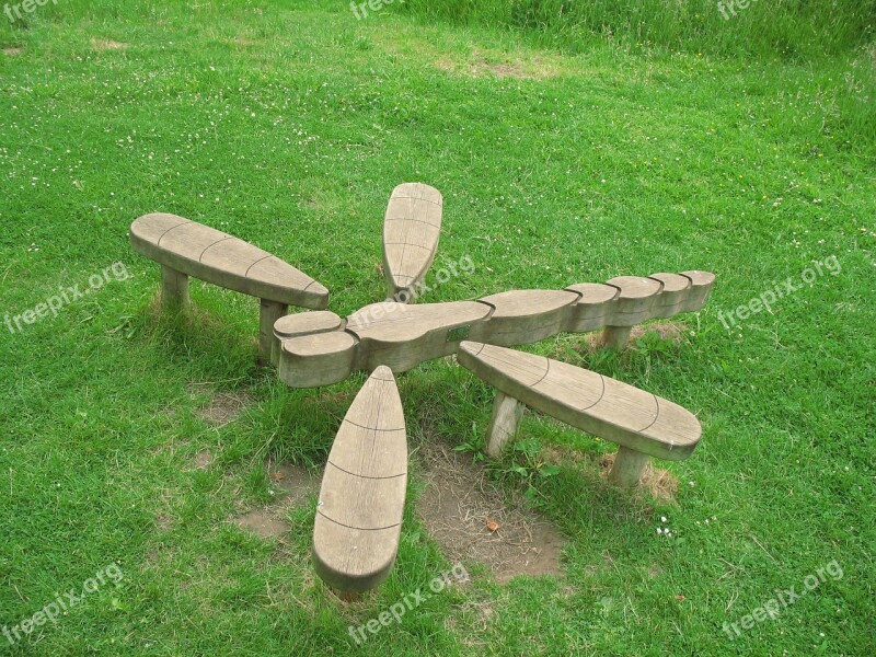 Dragonfly Field Wood Chair Free Photos