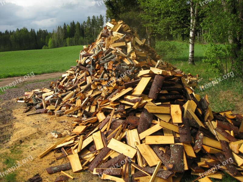 Early Summer Firewood Woodpile Landscape Field